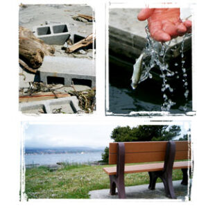 collage of three photographs